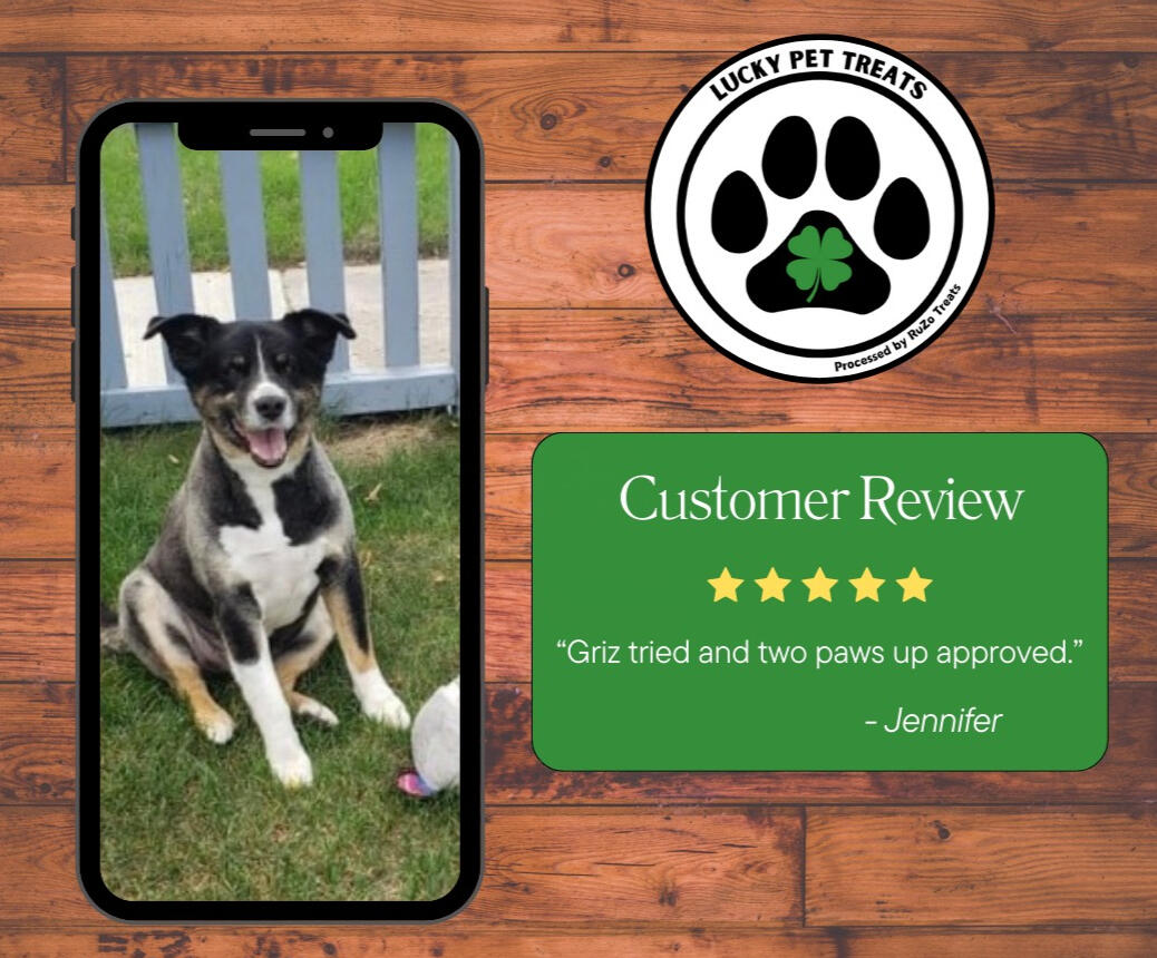 Review1 Review1
