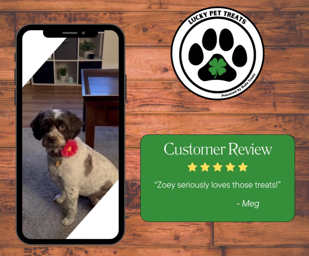 Review2 Review2