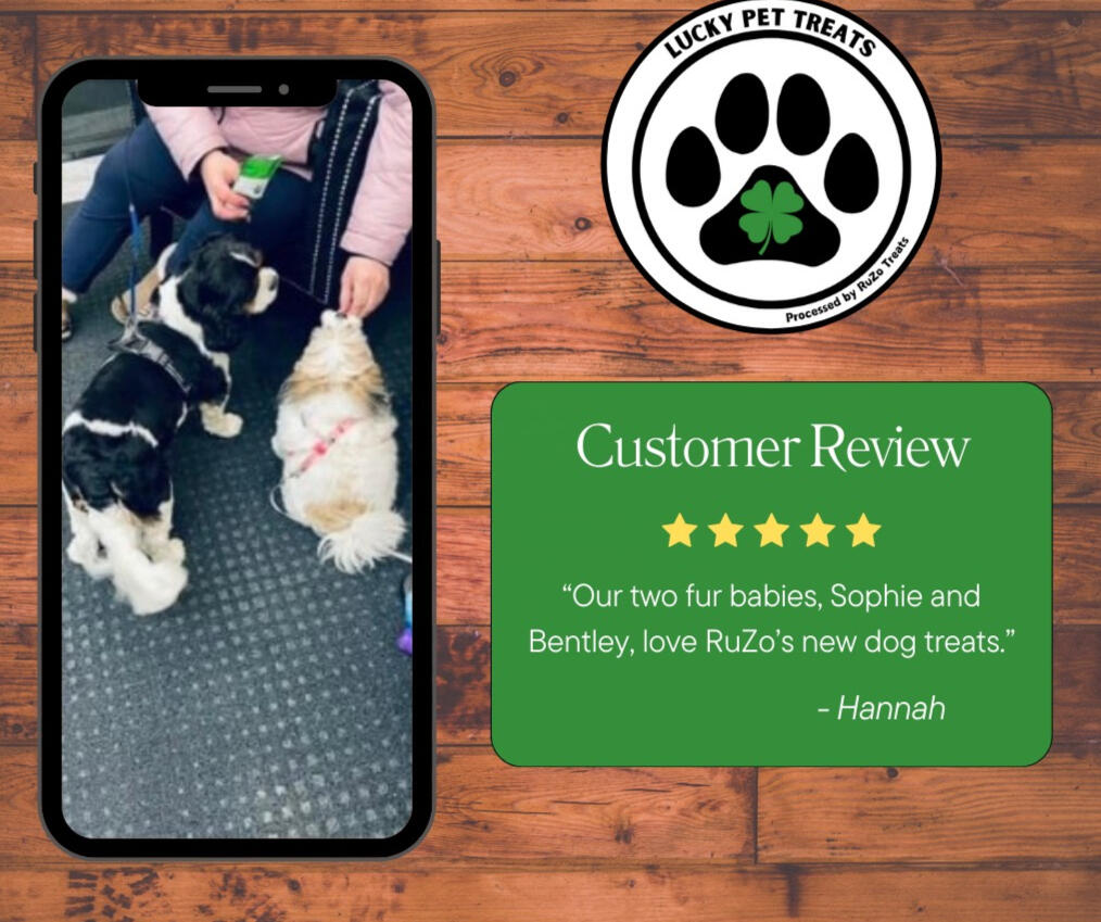 Review4